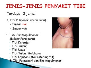 Meningitis tibi Exanthema, Meningitis