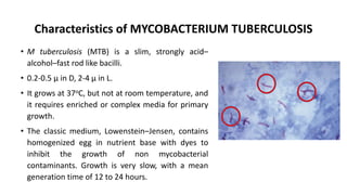 Characteristics of MYCOBACTERIUM TUBERCULOSIS
• M tuberculosis (MTB) is a slim, strongly acid–
alcohol–fast rod like bacilli.
• 0.2-0.5 μ in D, 2-4 μ in L.
• It grows at 37oC, but not at room temperature, and
it requires enriched or complex media for primary
growth.
• The classic medium, Lowenstein–Jensen, contains
homogenized egg in nutrient base with dyes to
inhibit the growth of non mycobacterial
contaminants. Growth is very slow, with a mean
generation time of 12 to 24 hours.
 
