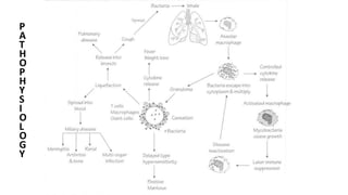 P
A
T
H
O
P
H
Y
S
I
O
L
O
G
Y
 