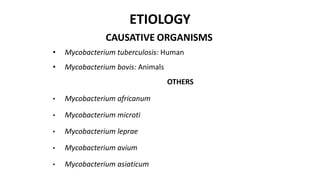 ETIOLOGY
CAUSATIVE ORGANISMS
• Mycobacterium tuberculosis: Human
• Mycobacterium bovis: Animals
OTHERS
• Mycobacterium africanum
• Mycobacterium microti
• Mycobacterium leprae
• Mycobacterium avium
• Mycobacterium asiaticum
 