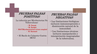 PRUEBAS FALSAS
POSITIVAS:
La infección por Micobacterias No
Tuberculosas:
• M. Xenopi
• M. Szulgai
• MAC(Mycobactyerium avium complex)
• M. Kansasii
• El Bacilo de Calmette-Guérin
(BCG)
PRUEBAS FALSAS
NEGATIVAS:
• Las limitaciones biológicas
incluyen inmunosupresión o
disminución natural de la
inmunidad.
• Las limitaciones técnicas
incluyen manipulación e
interpretación inapropiadas
de la tuberculina.
 