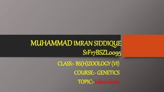 MUHAMMADIMRAN SIDDIQUE
S1F17BSZL0095
CLASS:- BS(H)ZOOLOGY (VI)
COURSE:- GENETICS
TOPIC:-tuberculosis
 