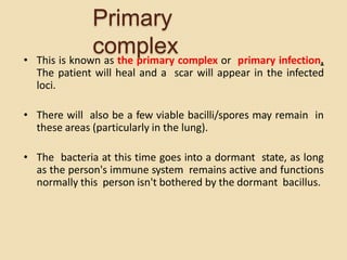 Tuberculosis | PPTX