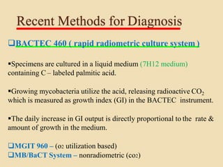 Tuberculosis | PPTX