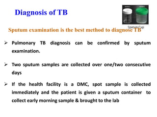 Tb Sample Types Tuberculosis | PDF