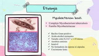 • Complejo Mycobacterium tuberculosis
• Familia Mycobacteriaceae
Etiología
Mycobacterium bovis.
 Bacilos Gram positivo
 Ácido-alcohol resistentes
 Tamaño entre 0,2-0,7 x 1-10 micras
 Aerobios estrictos
 Inmóvil
 No formadores de esporas ni cápsulas
 Crecimiento lento.
 