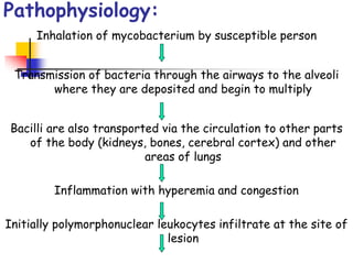 Pathophysiology:
Inhalation of mycobacterium by susceptible person
Transmission of bacteria through the airways to the alveoli
where they are deposited and begin to multiply
Bacilli are also transported via the circulation to other parts
of the body (kidneys, bones, cerebral cortex) and other
areas of lungs
Inflammation with hyperemia and congestion
Initially polymorphonuclear leukocytes infiltrate at the site of
lesion
 
