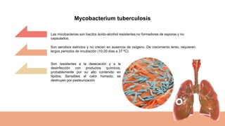 Las micobacterias son bacilos ácido-alcohol resistentes no formadores de esporas y no
capsulados.
Son resistentes a la desecación y a la
desinfección con productos químicos,
probablemente por su alto contenido en
lípidos. Sensibles al calor húmedo, se
destruyen por pasteurización
Son aerobios estrictos y no crecen en ausencia de oxígeno. De crecimiento lento, requieren
largos períodos de incubación (10-20 días a 37 ºC).
Mycobacterium tuberculosis
 