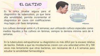 EL CULTIVO
Los cultivos demoran entre 4 y 8 semanas; aun utilizando cultivos especiales como
medios líquidos o los cultivos en láminas, siempre la demora mínima será de 4
semanas.
Es la única prueba segura para el
diagnóstico de tuberculosis, ya que tiene
alta sensibilidad, permite incrementar el
diagnóstico en casos con codificaciones
muy bajas y en fases tempranas.
En la tuberculosis extrapulmonar su diagnóstico es más difícil por la escasez relativa
de bacilos. Debido a que las micobacterias crecen con una velocidad entre 20 y 100
veces más lentamente que otras bacterias, son necesarias de 4 a 6 semanas para
estudiar la sensibilidad farmacológica.
 