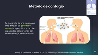 Método de contagio
Se transmite de una persona a
otra a través de gotitas de
aerosol suspendidas en el aire
expulsadas por personas con
enfermedad pulmonar activa.
30
Murray, P., Rosenthal, K., Pfaller, M. (2017). Microbiología médica (8va ed). Elsevier, España.
 