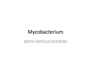 Mycobacterium
EDITH CASTILLO ACEVEDO
 