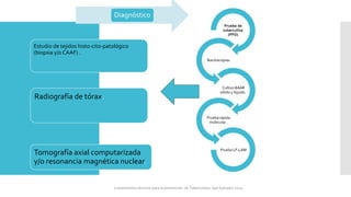 Prueba de
tuberculina
(PPD)
Baciloscopias.
Cultivo BAAR
sólido y líquido.
Prueba rápida
molecular .
Prueba LF-LAM
Estudio de tejidos histo-cito-patológico
(biopsia y/o CAAF) .
Radiografía de tórax.
Tomografía axial computarizada
y/o resonancia magnética nuclear.
Diagnóstico
Lineamientos técnicos para la prevención de Tuberculosis. San Salvador 2024
 