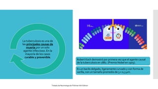 La tuberculosis es una de
las principales causas de
muerte por un solo
agente infeccioso. En la
mayoría de los casos
curable y prevenible.
Robert Koch demostró por primera vez que el agente causal
de la tuberculosis en 1882. (Premio Nobel en 1905).
Es un bacilo delgado, ligeramente curvado y con forma de
varilla, con un tamaño promedio de 3 × 0,3 µm.
Tratado de Neumologia de-Fishman-6th-Edition
 