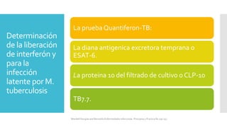 Determinación
de la liberación
de interferón y
para la
infección
latente por M.
tuberculosis
Mandell Douglas and Bennetts Enfermedades Infecciosas. Principios y Practica 8e cap 251.
La prueba Quantiferon-TB:
La diana antigenica excretora temprana o
ESAT-6.
La proteina 10 del filtrado de cultivo o CLP-10
TB7.7.
 
