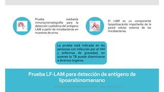 Prueba LF-LAM para detección de antígeno de
lipoarabinomanano
Prueba mediante
inmunocromatografía para la
detección cualitativa del antígeno
LAM a partir de micobacterias en
muestras de orina.
El LAM es un componente
lipopolisacárido importante de la
pared celular externa de las
micobacterias.
La prueba está indicada en las
personas con infección por el VIH
y enfermas de gravedad, en
quienes la TB puede diseminarse
a diversos órganos.
Mandell Douglas and Bennetts Enfermedades Infecciosas. Principios y Practica 8e cap 251.
 
