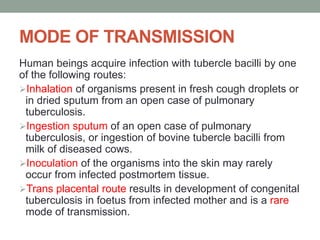 MODE OF TRANSMISSION
Human beings acquire infection with tubercle bacilli by one
of the following routes:
Inhalation of organisms present in fresh cough droplets or
in dried sputum from an open case of pulmonary
tuberculosis.
Ingestion sputum of an open case of pulmonary
tuberculosis, or ingestion of bovine tubercle bacilli from
milk of diseased cows.
Inoculation of the organisms into the skin may rarely
occur from infected postmortem tissue.
Trans placental route results in development of congenital
tuberculosis in foetus from infected mother and is a rare
mode of transmission.
 