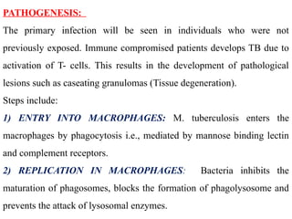 PATHOGENESIS:
The primary infection will be seen in individuals who were not
previously exposed. Immune compromised patients develops TB due to
activation of T- cells. This results in the development of pathological
lesions such as caseating granulomas (Tissue degeneration).
Steps include:
1) ENTRY INTO MACROPHAGES: M. tuberculosis enters the
macrophages by phagocytosis i.e., mediated by mannose binding lectin
and complement receptors.
2) REPLICATION IN MACROPHAGES: Bacteria inhibits the
maturation of phagosomes, blocks the formation of phagolysosome and
prevents the attack of lysosomal enzymes.
 