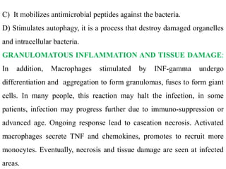 C) It mobilizes antimicrobial peptides against the bacteria.
D) Stimulates autophagy, it is a process that destroy damaged organelles
and intracellular bacteria.
GRANULOMATOUS INFLAMMATION AND TISSUE DAMAGE:
In addition, Macrophages stimulated by INF-gamma undergo
differentiation and aggregation to form granulomas, fuses to form giant
cells. In many people, this reaction may halt the infection, in some
patients, infection may progress further due to immuno-suppression or
advanced age. Ongoing response lead to caseation necrosis. Activated
macrophages secrete TNF and chemokines, promotes to recruit more
monocytes. Eventually, necrosis and tissue damage are seen at infected
areas.
 