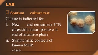 LAB
 Sputum culture test
Culture is indicated for
i. New and retreatment PTB
cases still smear- positive at
end of intensive phase
ii. Symptomatic contacts of
known MDR
cases
 