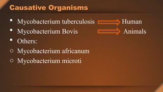 Human
Animals
Causative Organisms
 Mycobacterium tuberculosis
 Mycobacterium Bovis
 Others:
o Mycobacterium africanum
o Mycobacterium microti
 