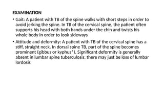 EXAMINATION
• Gait: A patient with TB of the spine walks with short steps in order to
avoid jerking the spine. In TB of the cervical spine, the patient often
supports his head with both hands under the chin and twists his
whole body in order to look sideways
• Attitude and deformity: A patient with TB of the cervical spine has a
stiff, straight neck. In dorsal spine TB, part of the spine becomes
prominent (gibbus or kyphus*). Significant deformity is generally
absent in lumbar spine tuberculosis; there may just be loss of lumbar
lordosis
 