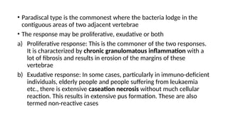 • Paradiscal type is the commonest where the bacteria lodge in the
contiguous areas of two adjacent vertebrae
• The response may be proliferative, exudative or both
a) Proliferative response: This is the commoner of the two responses.
It is characterized by chronic granulomatous inflammation with a
lot of fibrosis and results in erosion of the margins of these
vertebrae
b) Exudative response: In some cases, particularly in immuno-deficient
individuals, elderly people and people suffering from leukaemia
etc., there is extensive caseation necrosis without much cellular
reaction. This results in extensive pus formation. These are also
termed non-reactive cases
 