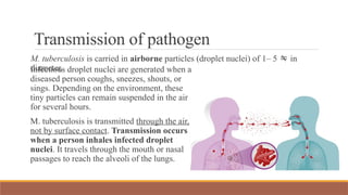 Transmission of pathogen
M. tuberculosis is carried in airborne particles (droplet nuclei) of 1– 5  in
diameter.
Infectious droplet nuclei are generated when a
diseased person coughs, sneezes, shouts, or
sings. Depending on the environment, these
tiny particles can remain suspended in the air
for several hours.
M. tuberculosis is transmitted through the air,
not by surface contact. Transmission occurs
when a person inhales infected droplet
nuclei. It travels through the mouth or nasal
passages to reach the alveoli of the lungs.
 