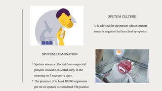 It is advised for the person whose sputum
smear is negative but has chest symptoms.
• Sputum smears collected from suspected
persons' should e collected early in the
morning on 3 successive days.
• The presence of at least 10,000 organisms
per ml of sputum is considered TB positive.
SPUTUM CULTURE
SPUTUM EXAMINATION
 