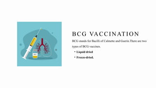 BCG stands for Bacilli of Calmette and Guerin.There are two
types of BCG vaccines.
• Liquid dried
• Freeze-dried.
BCG VACCINATION
 