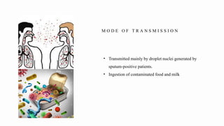 • Transmitted mainly by droplet nuclei generated by
sputum-positive patients.
• Ingestion of contaminated food and milk
M O D E O F T R A N S M I S S I O N
 