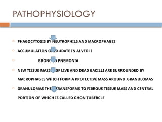 PATHOPHYSIOLOGY
 PHAGOCYTOSIS BY NEUTROPHILS AND MACROPHAGES
 ACCUMULATION OF EXUDATE IN ALVEOLI
 BRONCHO PNEMONIA
 NEW TISSUE MASSES OF LIVE AND DEAD BACILLI ARE SURROUNDED BY
MACROPHAGES WHICH FORM A PROTECTIVE MASS AROUND GRANULOMAS
 GRANULOMAS THEN TRANSFORMS TO FIBROUS TISSUE MASS AND CENTRAL
PORTION OF WHICH IS CALLED GHON TUBERCLE
 