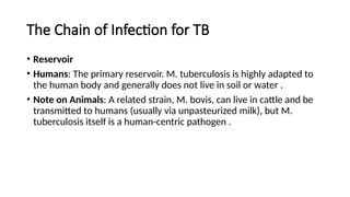 Comprehensive Overview of Tuberculosis: Pathogen, Transmission ...