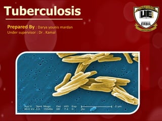 Tuberculosis
Prepared By : Darya younis mardan
Under supervisor : Dr . Kamal
 