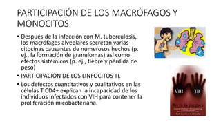 PARTICIPACIÓN DE LOS MACRÓFAGOS Y
MONOCITOS
• Después de la infección con M. tuberculosis,
los macrófagos alveolares secretan varias
citocinas causantes de numerosos hechos (p.
ej., la formación de granulomas) así como
efectos sistémicos (p. ej., fiebre y pérdida de
peso)
• PARTICIPACIÓN DE LOS LINFOCITOS TL
• Los defectos cuantitativos y cualitativos en las
células T CD4+ explican la incapacidad de los
individuos infectados con VIH para contener la
proliferación micobacteriana.
 