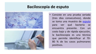 Baciloscopia de esputo
• Consiste en una prueba seriada
(tres días consecutivos), donde
se toma una muestra de esputo
para ver qué bacteria se
encuentra presente. Con un
costo bajo y de rápida ejecución,
la baciloscopia es una técnica
que permite identificar al 70-
80 % de los casos pulmonares
positivos.
 
