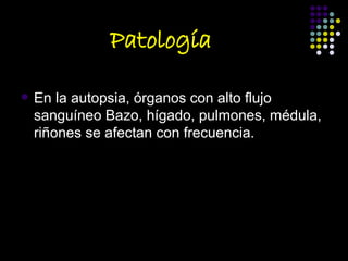 Patología ,[object Object]