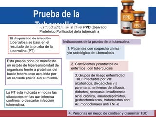 El diagnóstico de infección
tuberculosa se basa en el
resultado de la prueba de la
tuberculina (PT)
Esta prueba pone de manifiesto
un estado de hipersensibilidad del
organismo frente a proteínas del
bacilo tuberculoso adquirida por
un contacto previo con el mismo.
La PT está indicada en todas las
situaciones en las que interesa
confirmar o descartar infección
tuberculosa.
Indicaciones de la prueba de la tuberculina.
1. Pacientes con sospecha clínica
y/o radiológica de tuberculosis
2. Convivientes y contactos de
enfermos con tuberculosis
3. Grupos de riesgo enfermedad
TBC: Infectados por VIH,
alcohólicos, drogadictos vía
parenteral, enfermos de silicosis,
diabetes, neoplasia, insuficiencia
renal crónica, inmunodeprimidos,
gastrectomizados, tratamientos con
Ac. monoclonales anti TNF-α
4. Personas en riesgo de contraer y diseminar TBC
En la actualidad se utiliza el PPD (Derivado
Proteínico Purificado) de la tuberculina
Prueba de la
Tuberculina
 