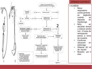 APIRADO GASTRICO
>10 AÑOS
• Moco
respiratorio
continuamente
es deglutido
cuando se
deposita en
hipofaringe
• Niño en
decúbito dorsal
y colocar sonda
con 2 horas de
anticipación
previa a toma
de muestra
• Confirmar
ubicación en
estómago
• Obtener 20 ml
de líquido
• Muestra por 3
días
2
 
