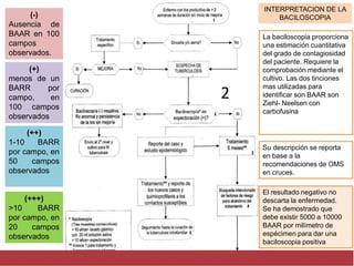 INTERPRETACION DE LA
BACILOSCOPIA
La baciloscopia proporciona
una estimación cuantitativa
del grado de contagiosidad
del paciente. Requiere la
comprobación mediante el
cultivo. Las dos tinciones
mas utilizadas para
identificar son BAAR son
Ziehl- Neelsen con
carbofusina
Su descripción se reporta
en base a la
recomendaciones de OMS
en cruces.
El resultado negativo no
descarta la enfermedad.
Se ha demostrado que
debe existir 5000 a 10000
BAAR por milímetro de
espécimen para dar una
baciloscopia positiva
2
(-)
Ausencia de
BAAR en 100
campos
observados.
(+)
menos de un
BARR por
campo, en
100 campos
observados
(++)
1-10 BARR
por campo, en
50 campos
observados
(+++)
>10 BARR
por campo, en
20 campos
observados
 