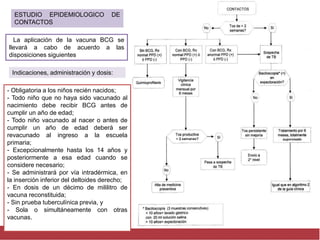 ESTUDIO EPIDEMIOLOGICO DE
CONTACTOS
La aplicación de la vacuna BCG se
llevará a cabo de acuerdo a las
disposiciones siguientes
Indicaciones, administración y dosis:
- Obligatoria a los niños recién nacidos;
- Todo niño que no haya sido vacunado al
nacimiento debe recibir BCG antes de
cumplir un año de edad;
- Todo niño vacunado al nacer o antes de
cumplir un año de edad deberá ser
revacunado al ingreso a la escuela
primaria;
- Excepcionalmente hasta los 14 años y
posteriormente a esa edad cuando se
considere necesario;
- Se administrará por vía intradérmica, en
la inserción inferior del deltoides derecho;
- En dosis de un décimo de mililitro de
vacuna reconstituida;
- Sin prueba tuberculínica previa, y
- Sola o simultáneamente con otras
vacunas.
 