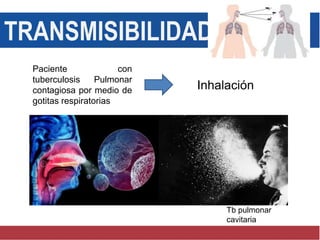 TRANSMISIBILIDAD
Paciente con
tuberculosis Pulmonar
contagiosa por medio de
gotitas respiratorias
Inhalación
Tb pulmonar
cavitaria
 