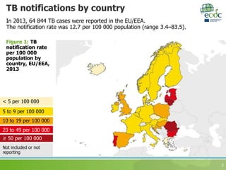 TB notifications by country
In 2013, 64 844 TB cases were reported in the EU/EEA.
The notification rate was 12.7 per 100 000 population (range 3.4–83.5).
2
Figure 1: TB
notification rate
per 100 000
population by
country, EU/EEA,
2013
Not included or not
reporting
20 to 49 per 100 000
10 to 19 per 100 000
5 to 9 per 100 000
< 5 per 100 000
≥ 50 per 100 000
 