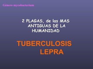 2 PLAGAS, de las MAS ANTIGUAS DE LA HUMANIDAD TUBERCULOSIS   LEPRA Género mycobacterium 