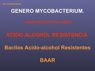 Las micobacterias GENERO MYCOBACTERIUM . CARACTERÍSTICA EN COMÚN ACIDO ALCOHOL RESISTENCIA   Bacilos Acido-alcohol Resistentes BAAR 