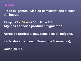 Fisiología Poco exigentes.  Medios semisintéticos a  base de  huevo. Temp.  22 -  37  – 42 ºC .  Ph = 6,8 Algunas especies producen pigmentos. Aerobios estrictos, muy sensibles al  oxígeno. Lento desarrollo en cultivos (3 a 6 semanas),  Colonias “R”. 