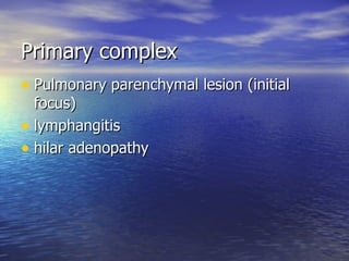 Primary complex Pulmonary parenchymal lesion (initial focus) lymphangitis hilar adenopathy 