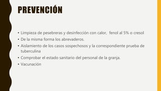 PREVENCIÓN
• Limpieza de pesebreras y desinfección con calor, fenol al 5% o cresol
• De la misma forma los abrevaderos.
• Aislamiento de los casos sospechosos y la correspondiente prueba de
tuberculina
• Comprobar el estado sanitario del personal de la granja.
• Vacunación
 