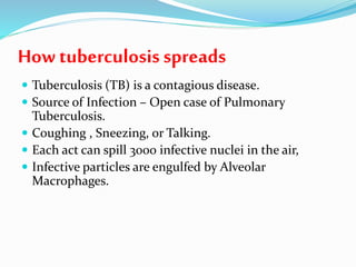 How tuberculosisspreads
 Tuberculosis (TB) is a contagious disease.
 Source of Infection – Open case of Pulmonary
Tuberculosis.
 Coughing , Sneezing, or Talking.
 Each act can spill 3000 infective nuclei in the air,
 Infective particles are engulfed by Alveolar
Macrophages.
 