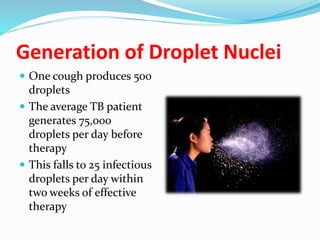 Generation of Droplet Nuclei
 One cough produces 500
droplets
 The average TB patient
generates 75,000
droplets per day before
therapy
 This falls to 25 infectious
droplets per day within
two weeks of effective
therapy
 
