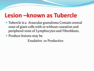 Lesion –known as Tubercle
 Tubercle is a Avascular granuloma Contain central
zone of giant cells with or without caseation and
peripheral zone of Lymphocytes and Fibroblasts.
 Produce lesions may be
Exudative or Productive
 